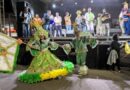 O Grêmio Recreativo Escola de Samba do Papagaio homenageou santos Dumont e fez bonito na avenida